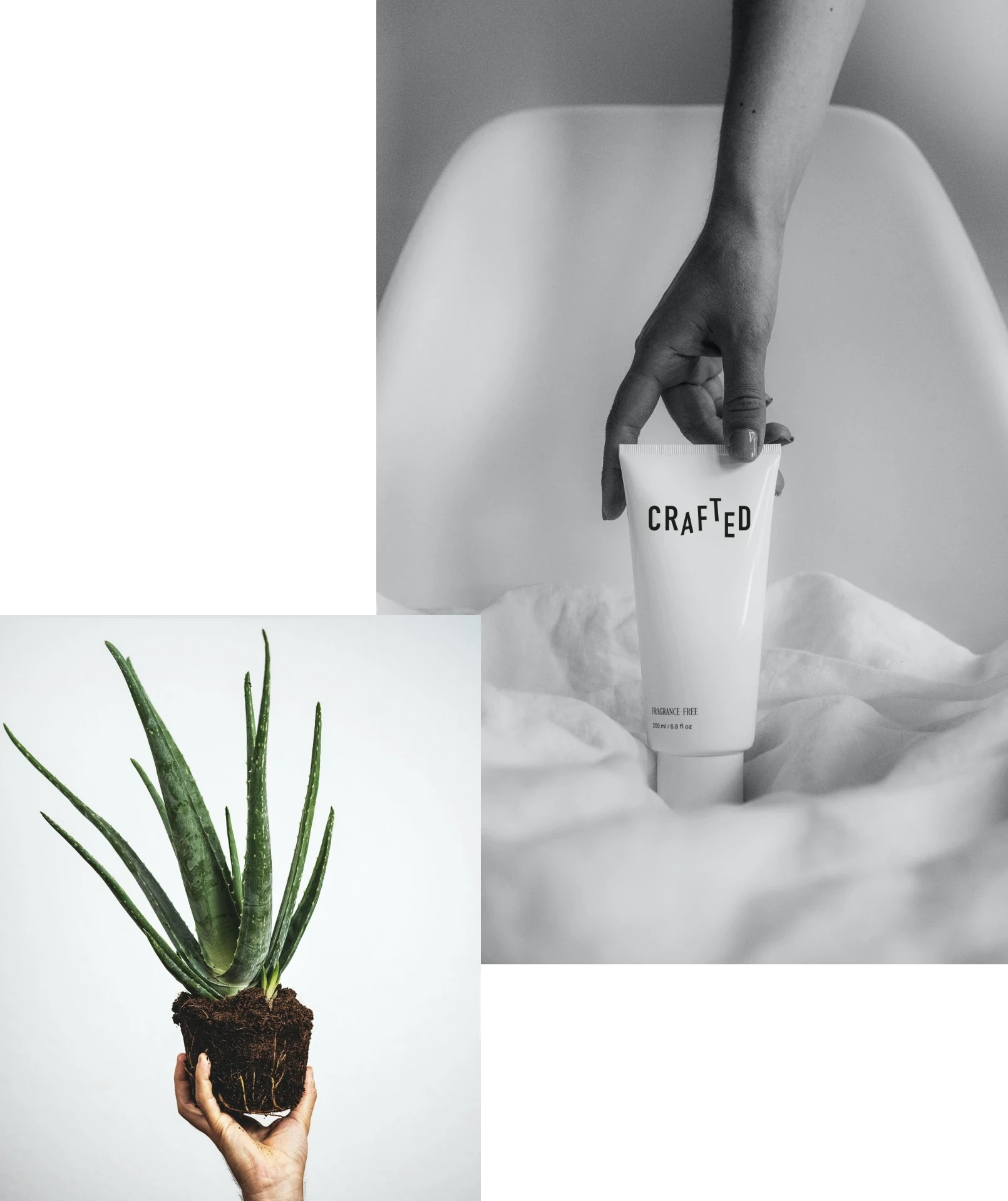 Brand Building