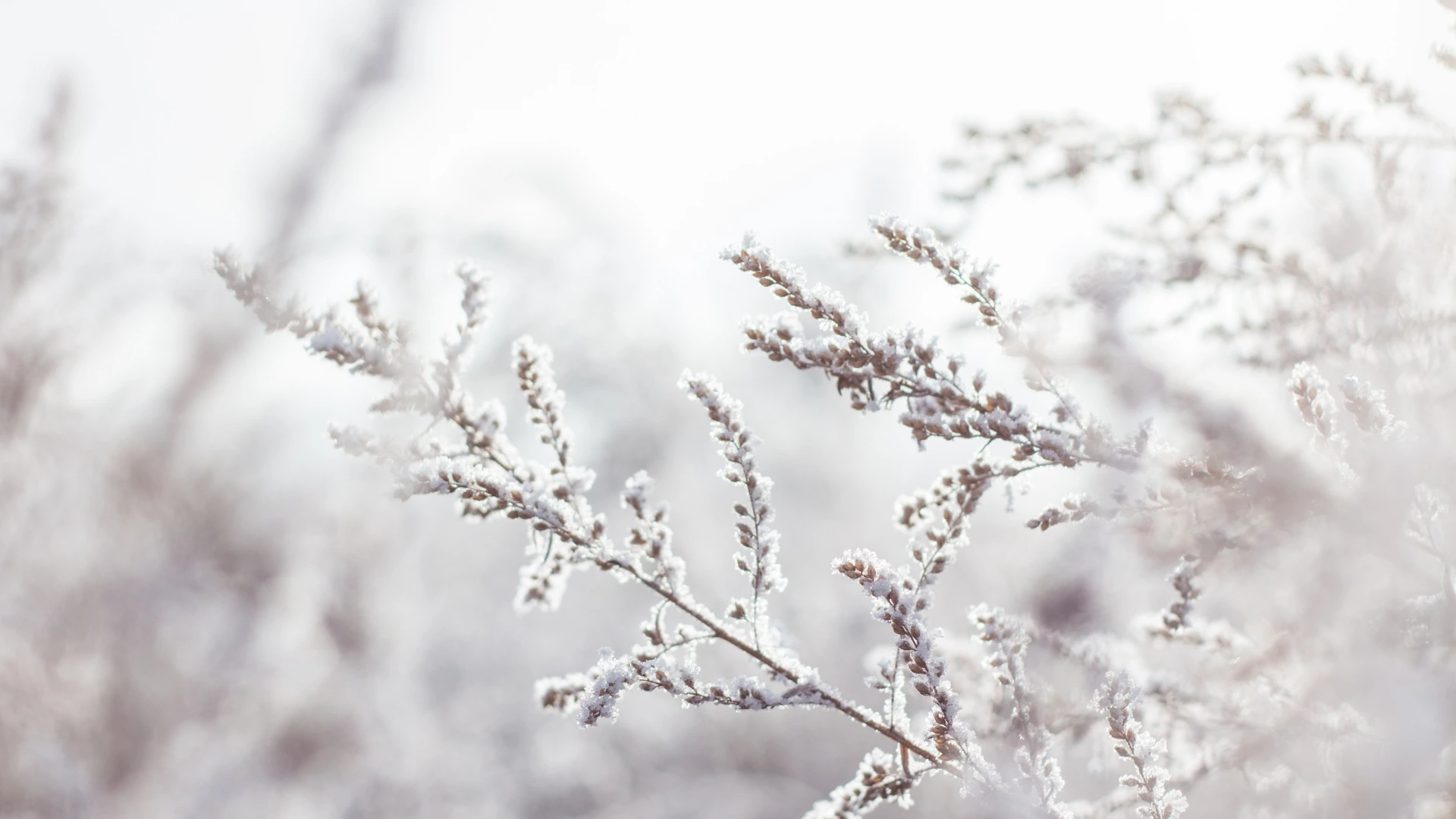 Top Winter Ingredients Your Skin Will Thank You For